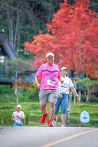 BIB: 067, 609
                            <button type="button" onclick="openModal(19239981)" class="btn btn-primary btn-sm float-right btn-popup" data-toggle="modal" data-target=".modal-high-quality">
                        <i class="fas fa-shopping-cart"></i> Add to Cart
                    </button>
                                            <button type="button" onclick="isThisMe(19239981, true)" class="btn btn-success btn-sm float-right btn-popup btn-isme hidden" data-toggle="tooltip" data-placement="bottom" title="นี่คือรูปของคุณใช่ไหม คลิกที่นี่เพื่อเอาเข้าอัลบั้ม">
                        <i class="fas fa-plus"></i> Add to album
                    </button>
                    <button type="button" onclick="isThisMe(19239981, false)" class="btn btn-warning btn-sm float-right btn-popup btn-isnotme hidden">
                        <i class="fas fa-ban"></i> Remove from album
                    </button>